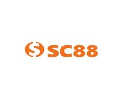 Bất Động Sản 